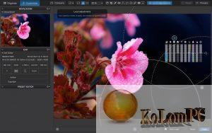 dxo photolab 2 install plugin