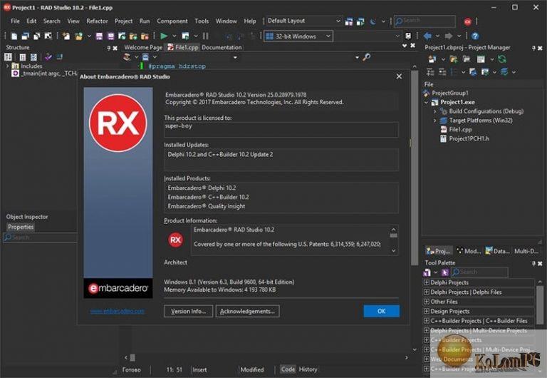 how to install dpk in rad studio 10.2