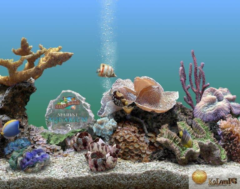 clé activation marine aquarium 3
