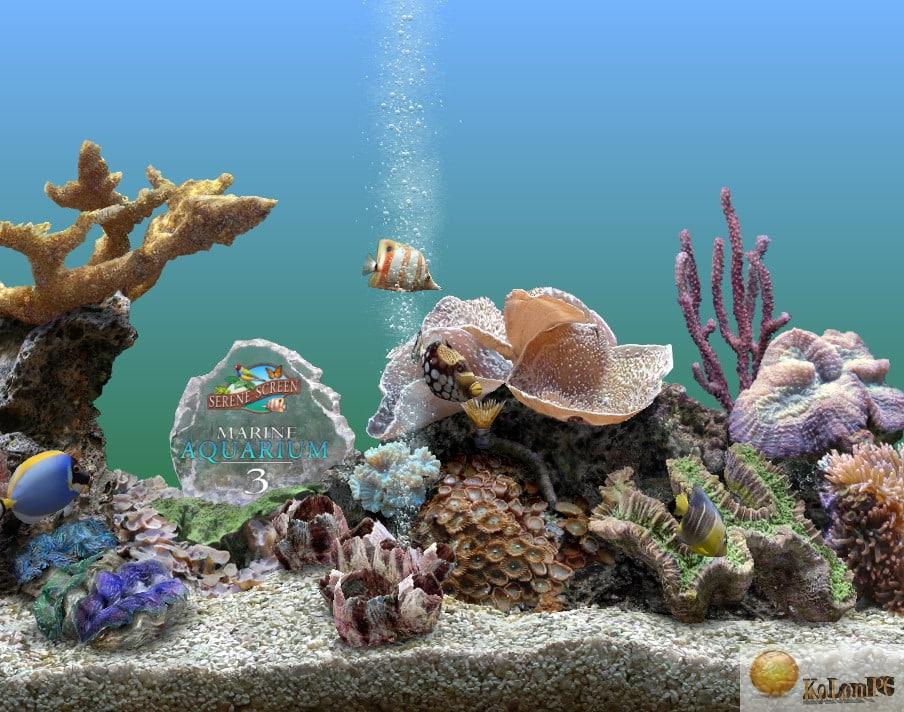 serenescreen marine aquarium 3 serial