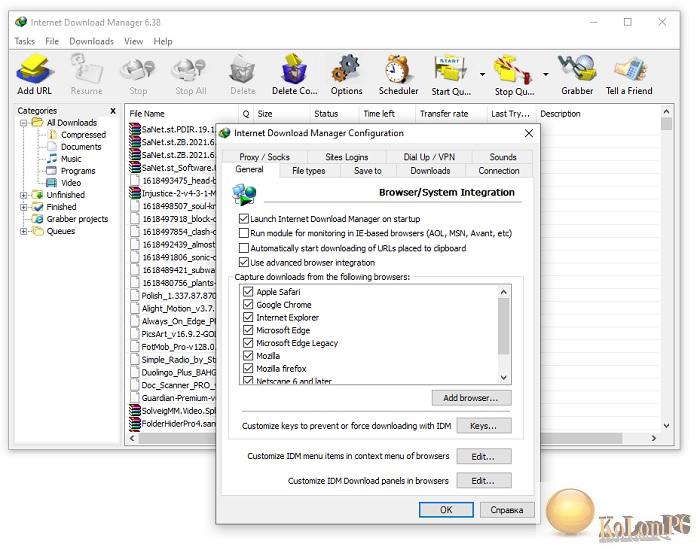 Internet Download Manager main settings