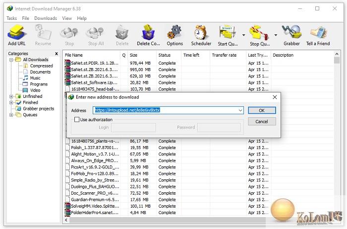 work in Download Manager